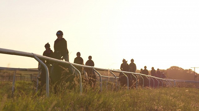 CAMERA 1 TROTTING 2 00015409 CAMERA 1 TROTTING 2 00015409