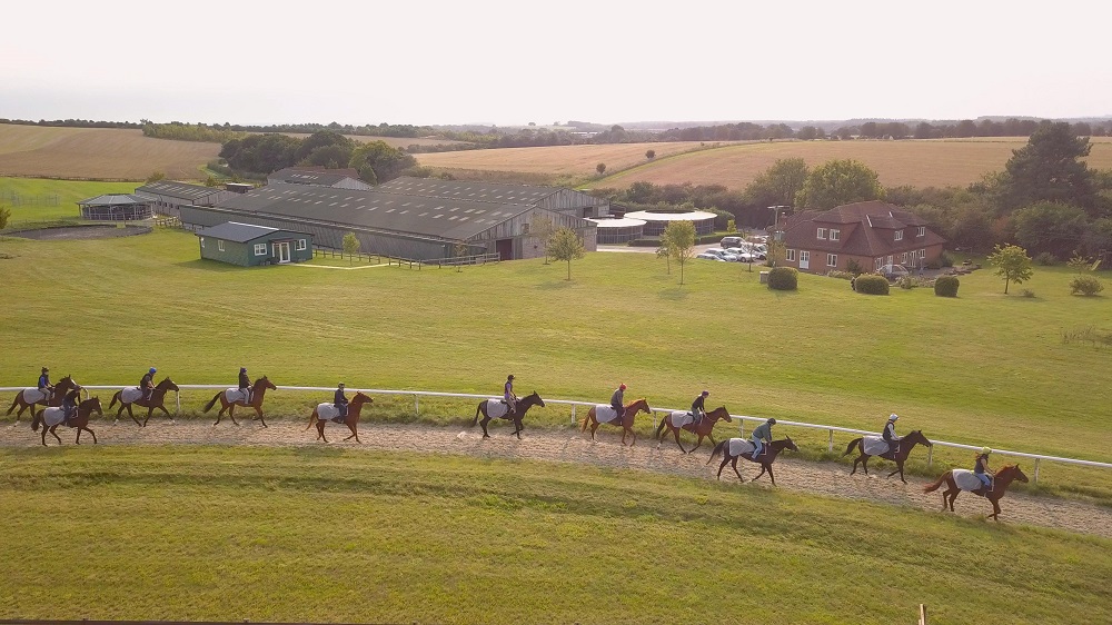 Trotting Ring