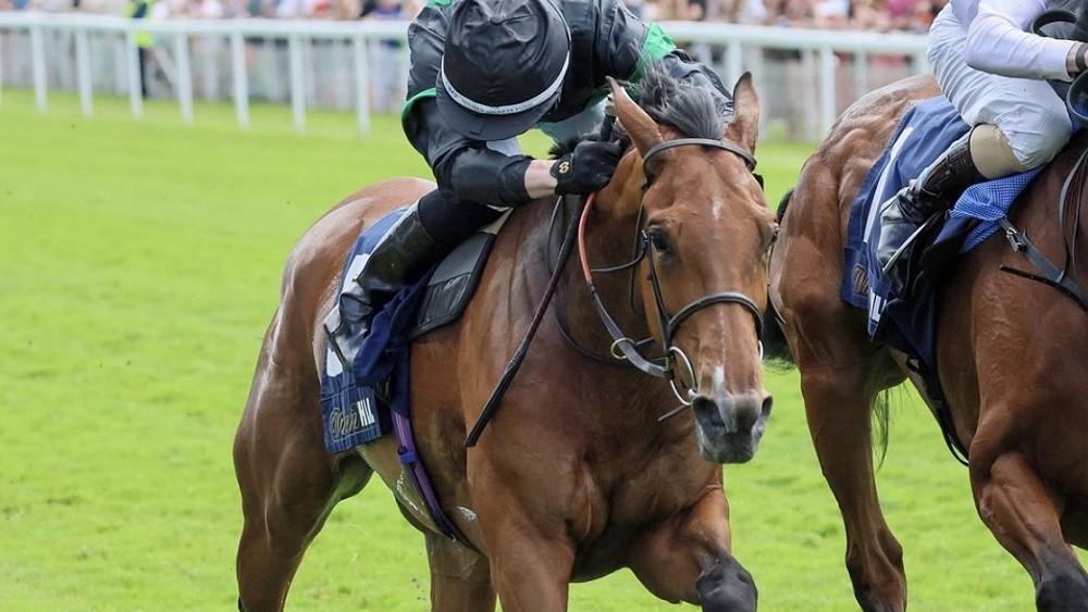 River Of Stars, Bronte Cup Fillies' Stakes (Group 3)