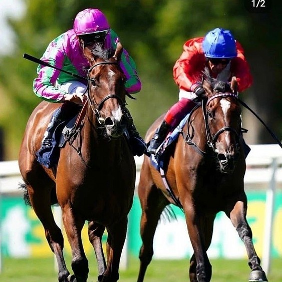 Prosperous Voyage, Group 1 Falmouth Stakes