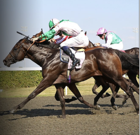 Starlust, Sirenia Stakes (Group 3)