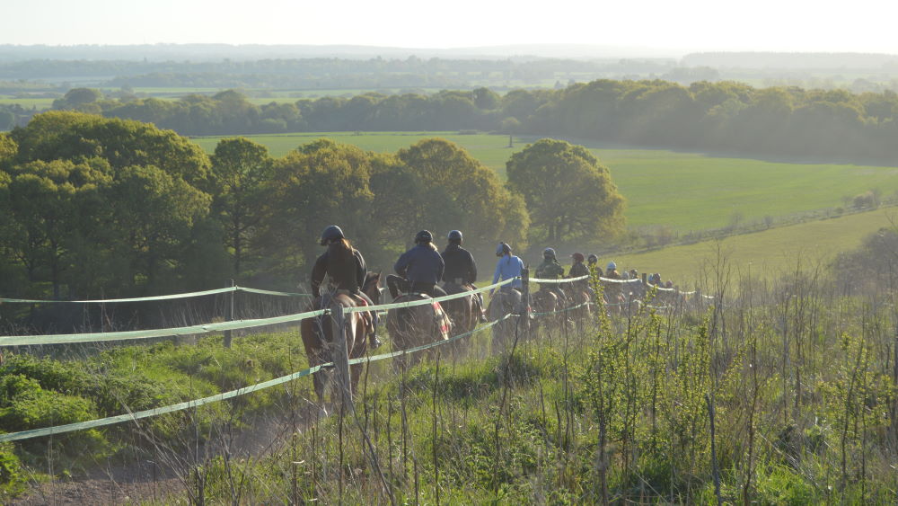 Morning Gallops