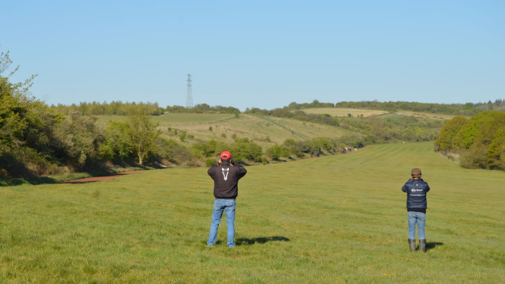 Grass Gallops