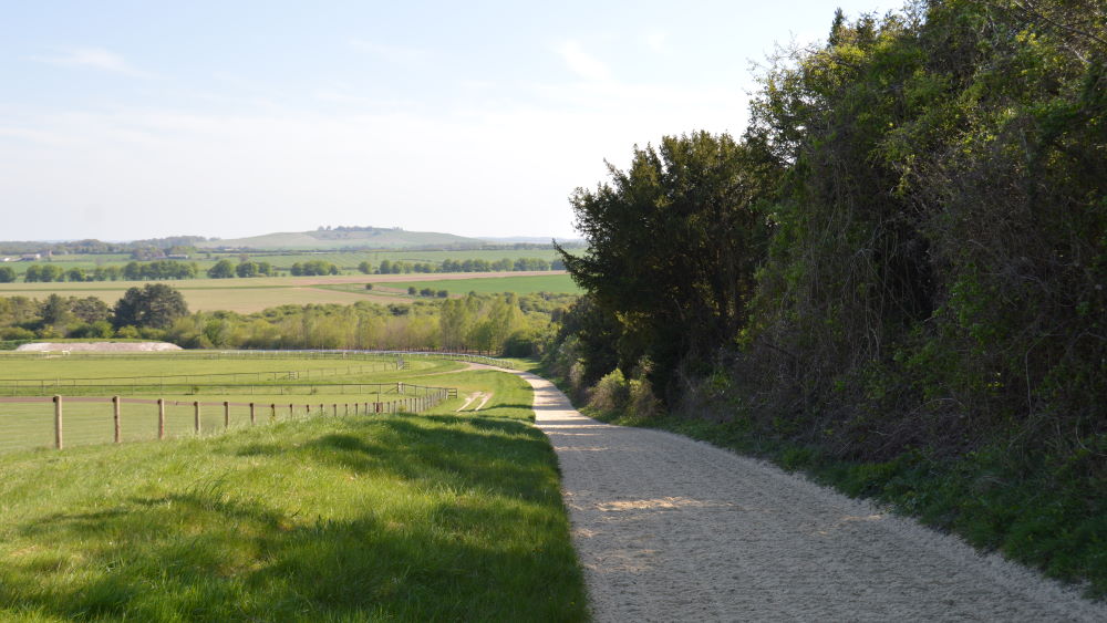 Short gallop